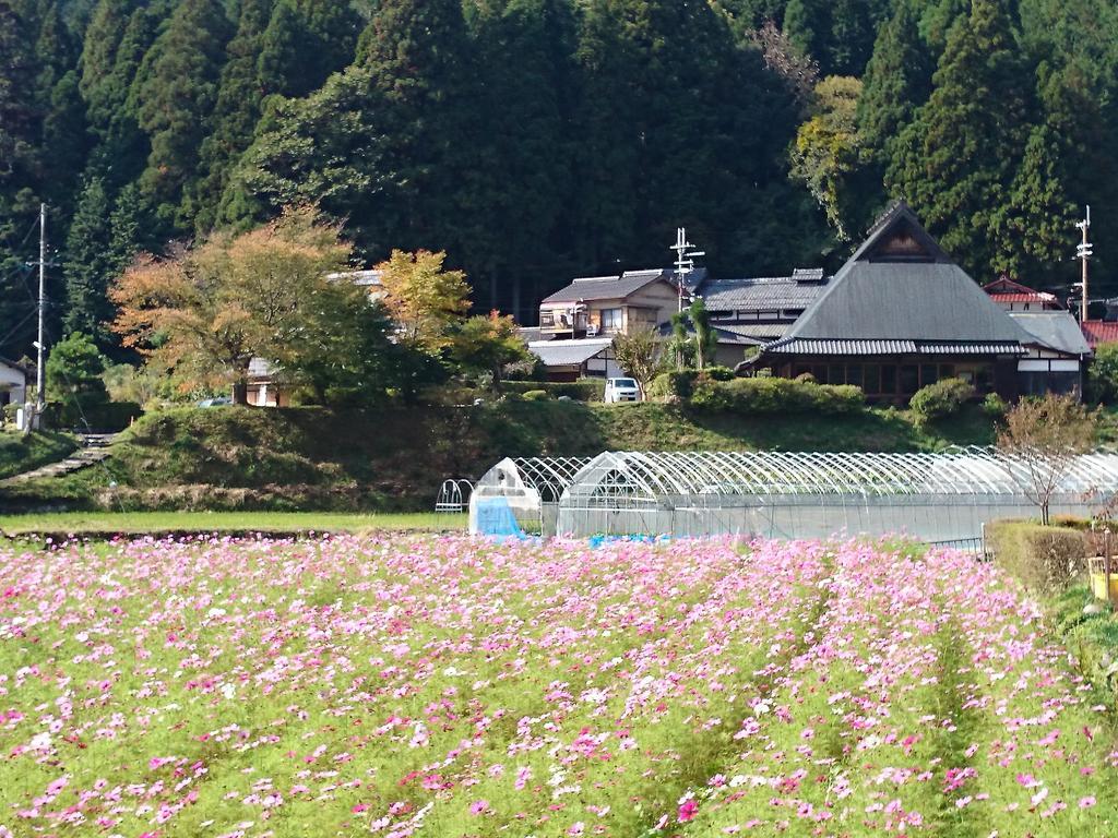 汤温泉奥哈拉山水酒店 传统日式旅馆 京都