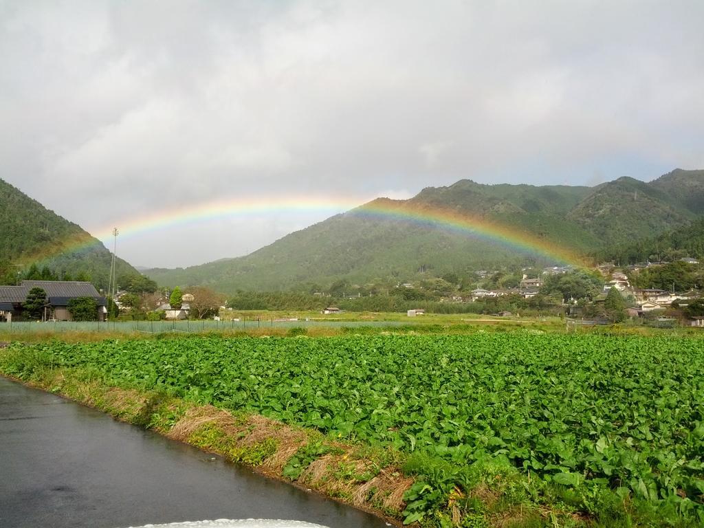 汤温泉奥哈拉山水酒店 传统日式旅馆 3*