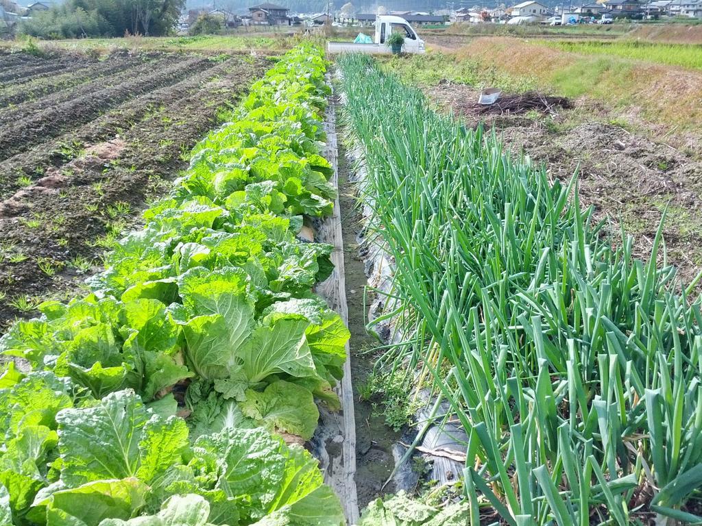 传统日式旅馆 汤温泉奥哈拉山水酒店 3*