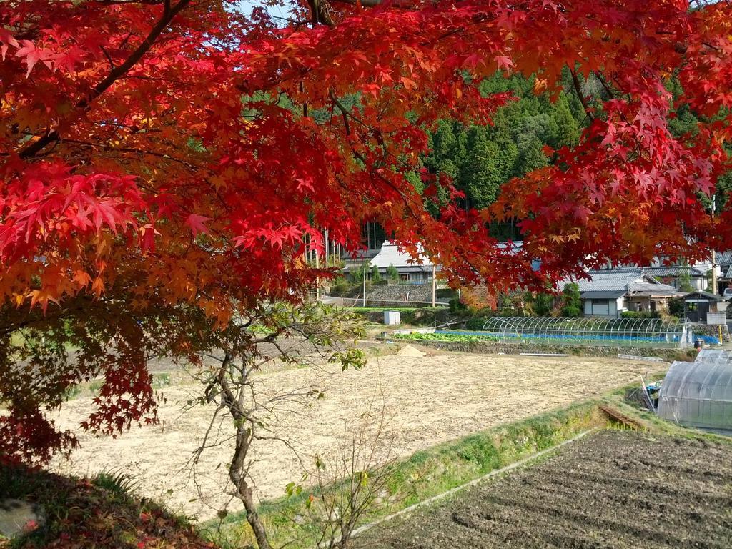 传统日式旅馆 汤温泉奥哈拉山水酒店 3*