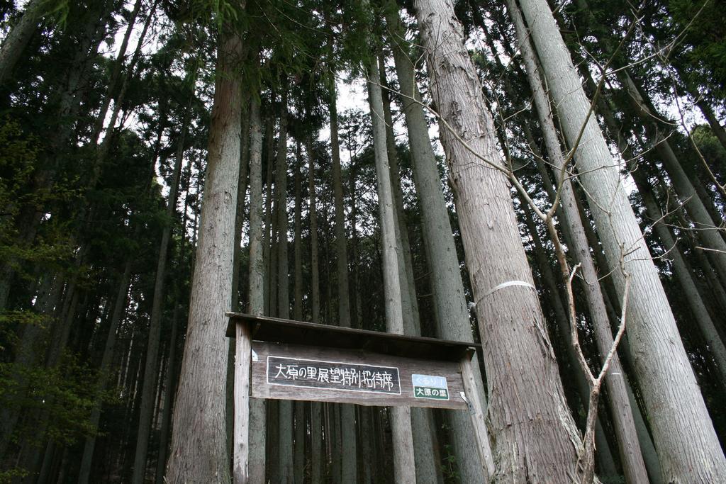 传统日式旅馆 汤温泉奥哈拉山水酒店 京都