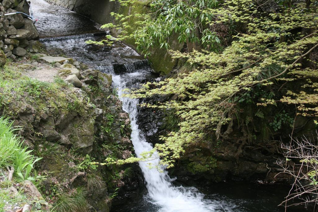 汤温泉奥哈拉山水酒店 京都