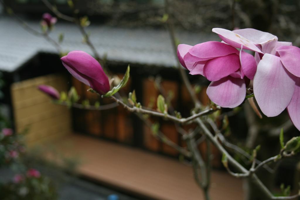汤温泉奥哈拉山水酒店 传统日式旅馆
