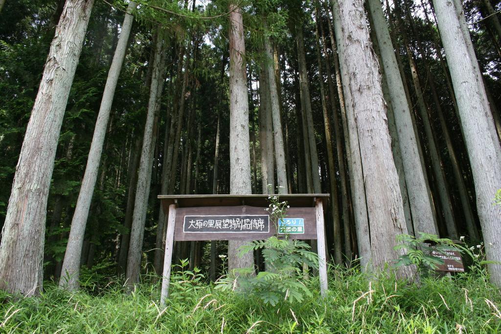 旅館 湯元のお宿　民宿　大原山荘
