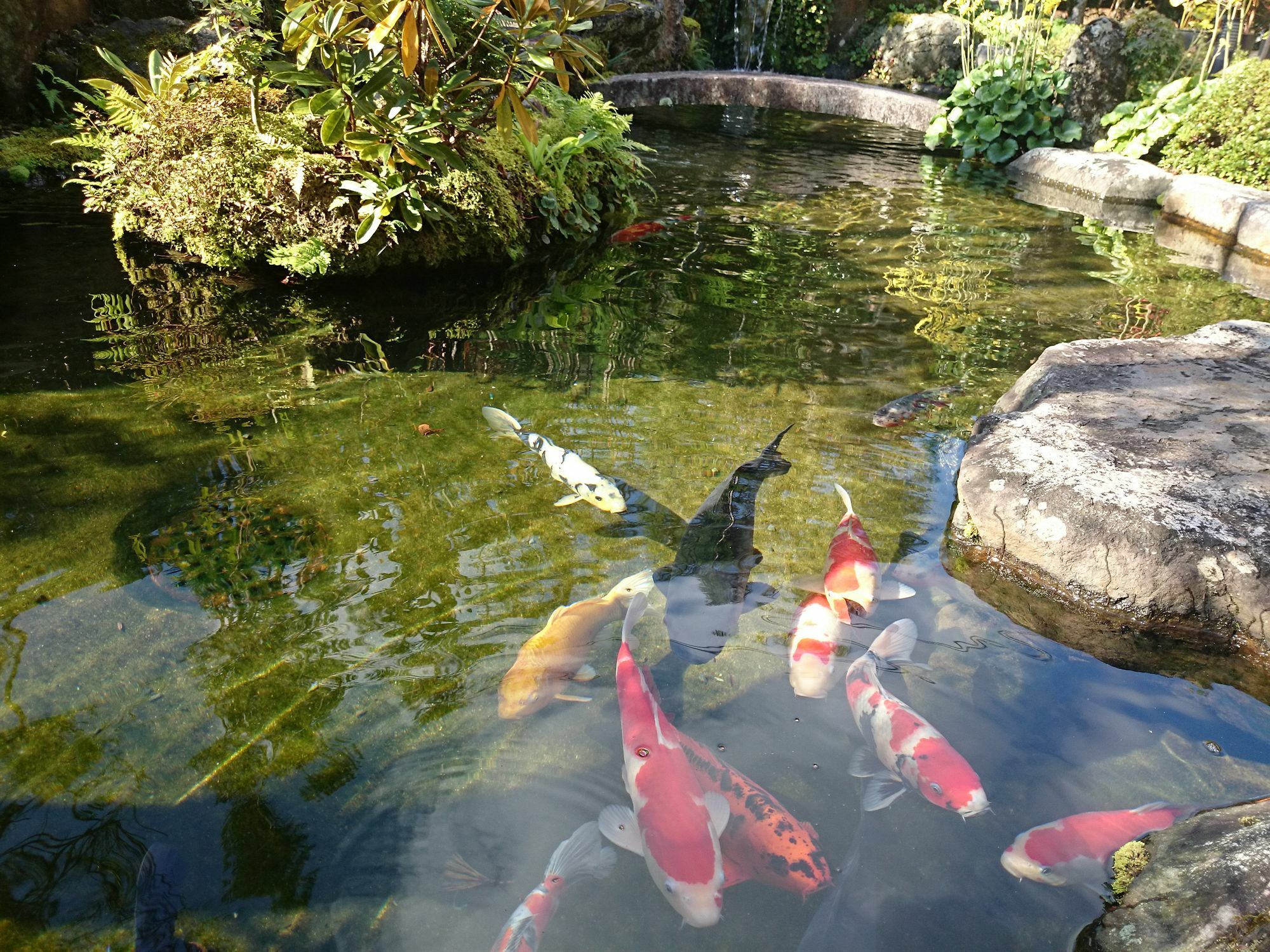湯元のお宿　民宿　大原山荘